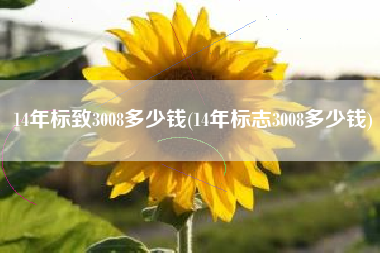 14年标致3008多少钱(14年标志3008多少钱)