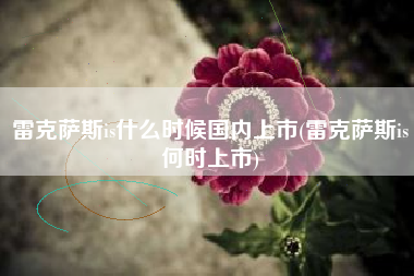 雷克萨斯is什么时候国内上市(雷克萨斯is何时上市)