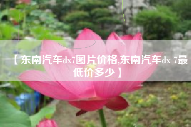 【东南汽车dx7图片价格,东南汽车dx 7最低价多少】