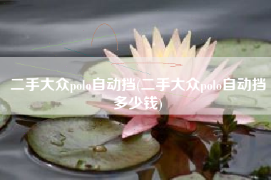 二手大众polo自动挡(二手大众polo自动挡多少钱)