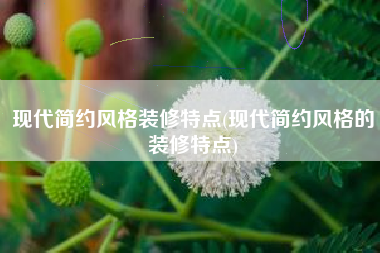 现代简约风格装修特点(现代简约风格的装修特点)