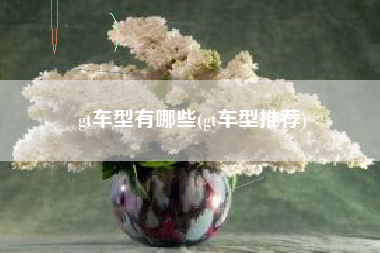 gt车型有哪些(gt车型推荐)