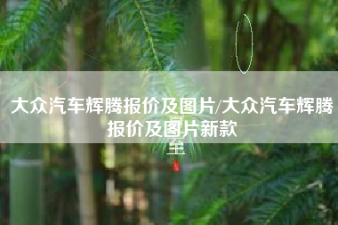 大众汽车辉腾报价及图片/大众汽车辉腾报价及图片新款