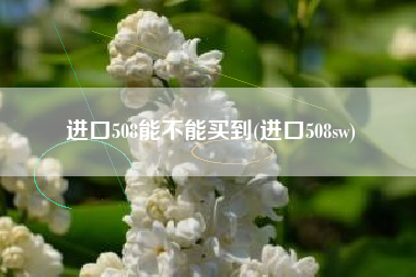进口508能不能买到(进口508sw)