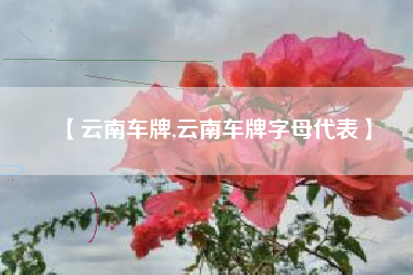 【云南车牌,云南车牌字母代表】