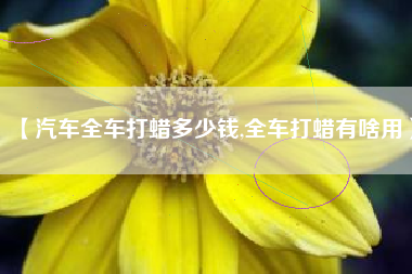【汽车全车打蜡多少钱,全车打蜡有啥用】