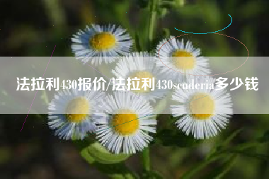 法拉利430报价/法拉利430scuderia多少钱 法拉利430报价/法拉利430scuderia多少钱