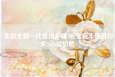 丰田全新一代普拉多曝光(全新丰田普拉多2020款价格)