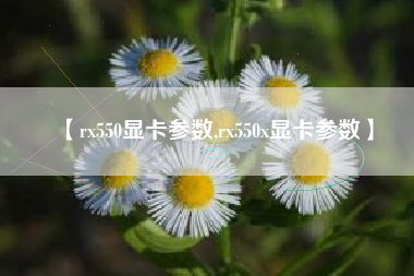 【rx550显卡参数,rx550x显卡参数】 【rx550显卡参数,rx550x显卡参数】