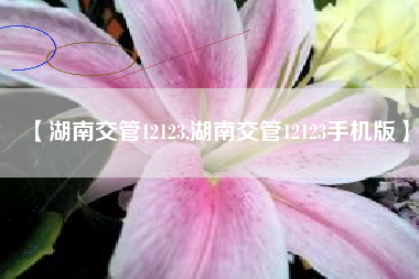 【湖南交管12123,湖南交管12123手机版】 【湖南交管12123,湖南交管12123手机版】