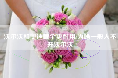 沃尔沃和奥迪哪个更耐用/为啥一般人不开沃尔沃 沃尔沃和奥迪哪个更耐用/为啥一般人不开沃尔沃