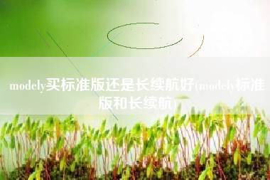 modely买标准版还是长续航好(modely标准版和长续航)