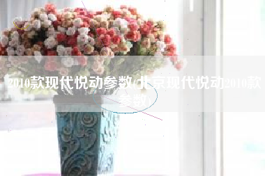 2010款现代悦动参数(北京现代悦动2010款参数)