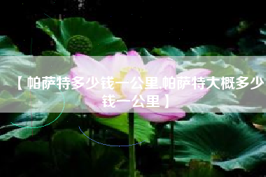 【帕萨特多少钱一公里,帕萨特大概多少钱一公里】