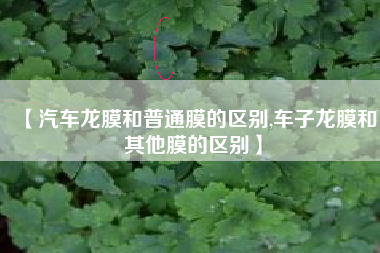 【汽车龙膜和普通膜的区别,车子龙膜和其他膜的区别】