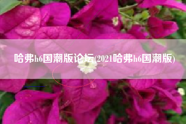 哈弗h6国潮版论坛(2021哈弗h6国潮版)