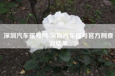 深圳汽车摇号网/深圳汽车摇号官方网查询结果 深圳汽车摇号网/深圳汽车摇号官方网查询结果