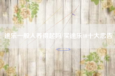 途乐一般人养得起吗/买途乐40十大忠告