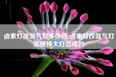 卤素灯改氙气灯多少钱/卤素灯改氙气灯需要换大灯总成吗