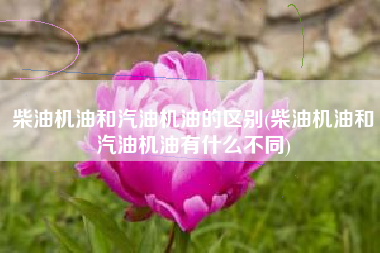 柴油机油和汽油机油的区别(柴油机油和汽油机油有什么不同)