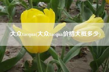 大众tacqua(大众tacqua价格大概多少) 大众tacqua(大众tacqua价格大概多少)
