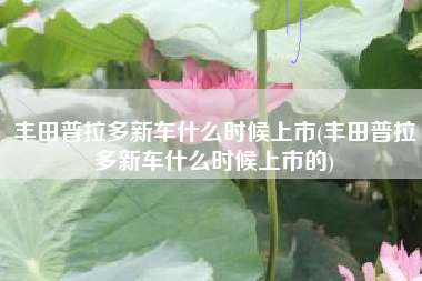 丰田普拉多新车什么时候上市(丰田普拉多新车什么时候上市的)