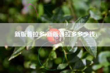 新版普拉多(新版普拉多多少钱)