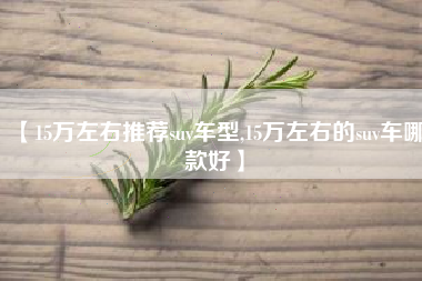 【15万左右推荐suv车型,15万左右的suv车哪款好】
